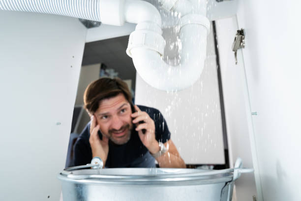 Best Plumbing Services Near Me  in Cactus, TX