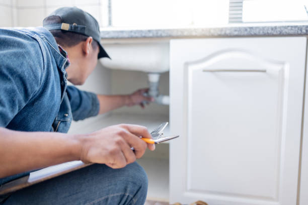 Best Local Plumber Services  in Cactus, TX