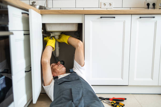 Best Affordable Plumber Near Me  in Cactus, TX