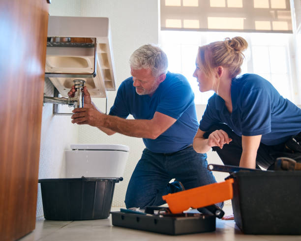 Best Same-Day Plumbing Service  in Cactus, TX